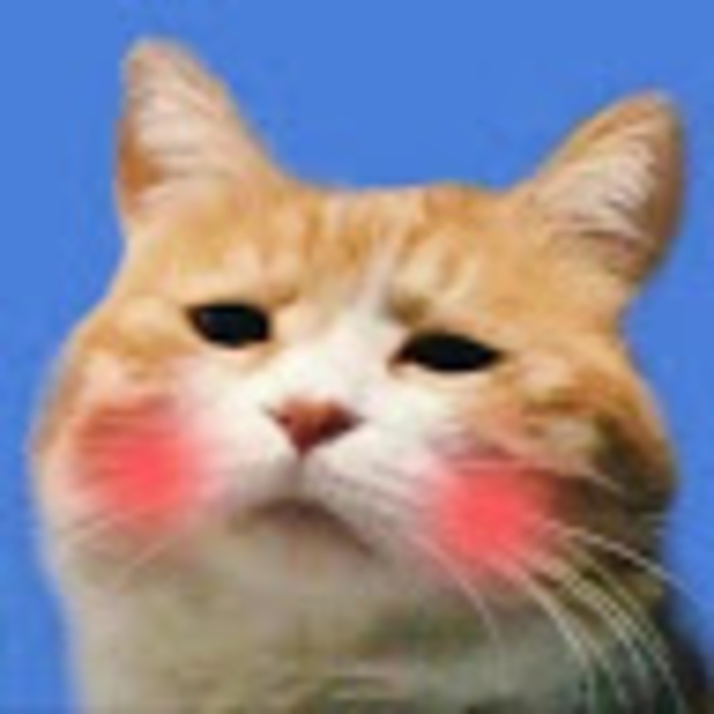 Meet your Posher, Biqing